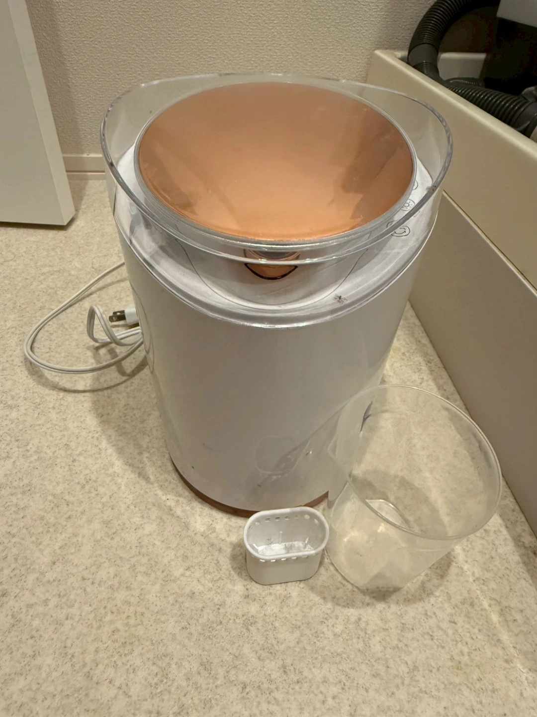 ビューティースチーマー PPIT-FSM-PKの写真2枚目