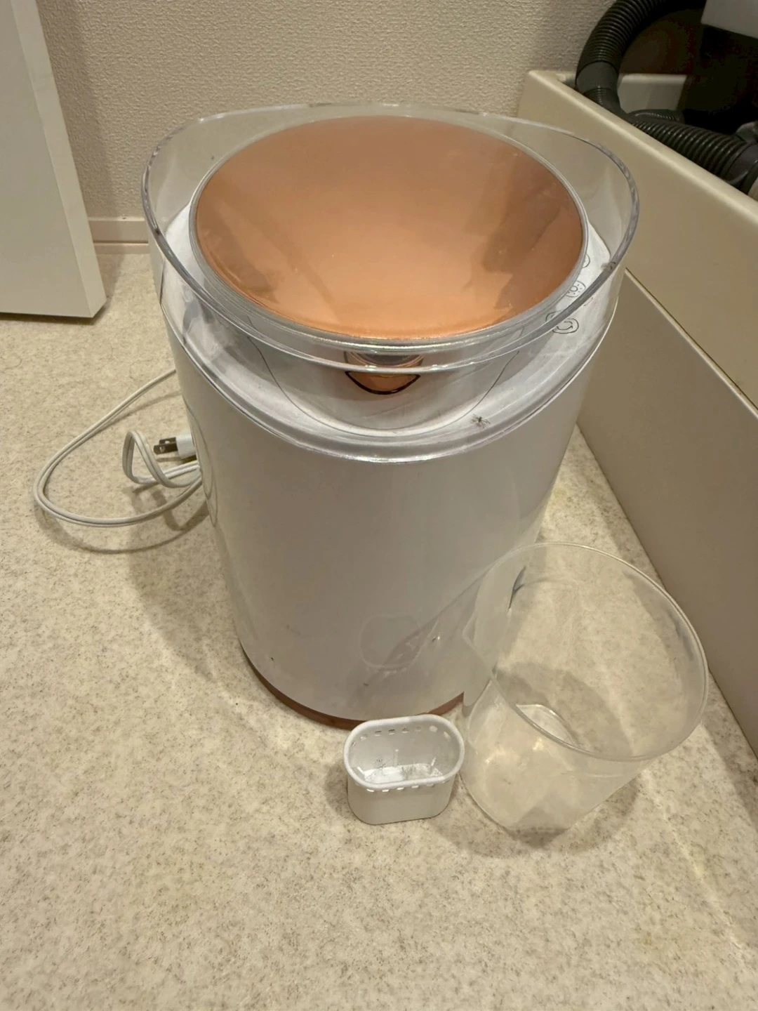 ビューティースチーマー PPIT-FSM-PKの写真2枚目