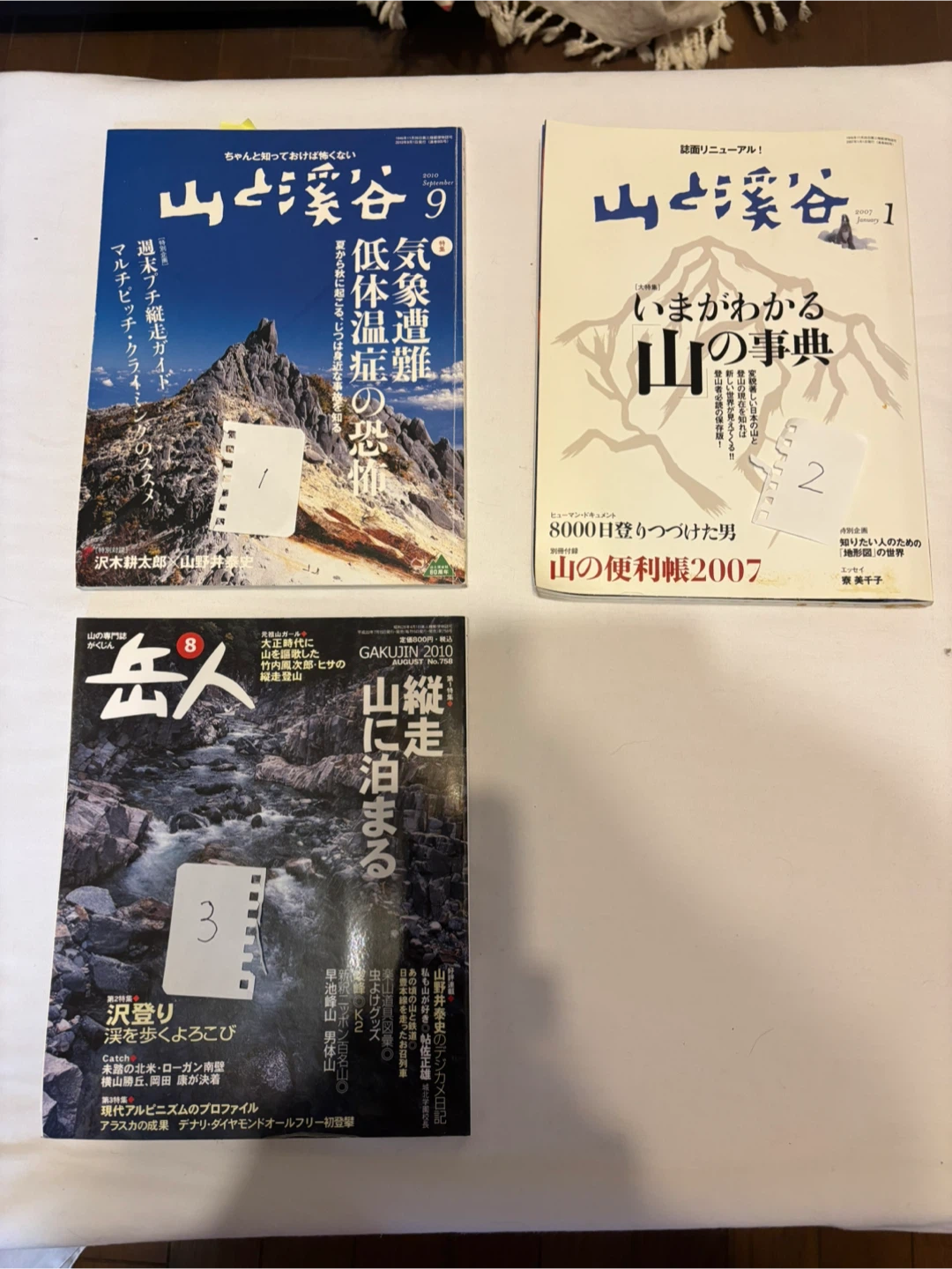 Ⅴ.山と溪谷 岳人　雑誌　１冊100円　付録無しの写真2枚目