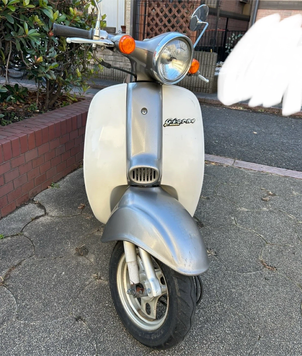 HONDA jorno AF24の原付スクーターの写真2枚目