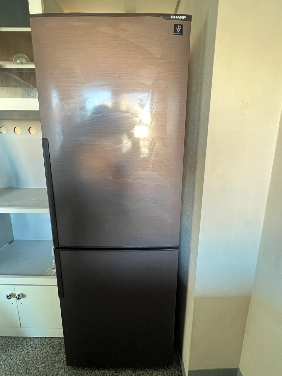 シャープ 冷蔵庫 受け渡し場所は三軒茶屋