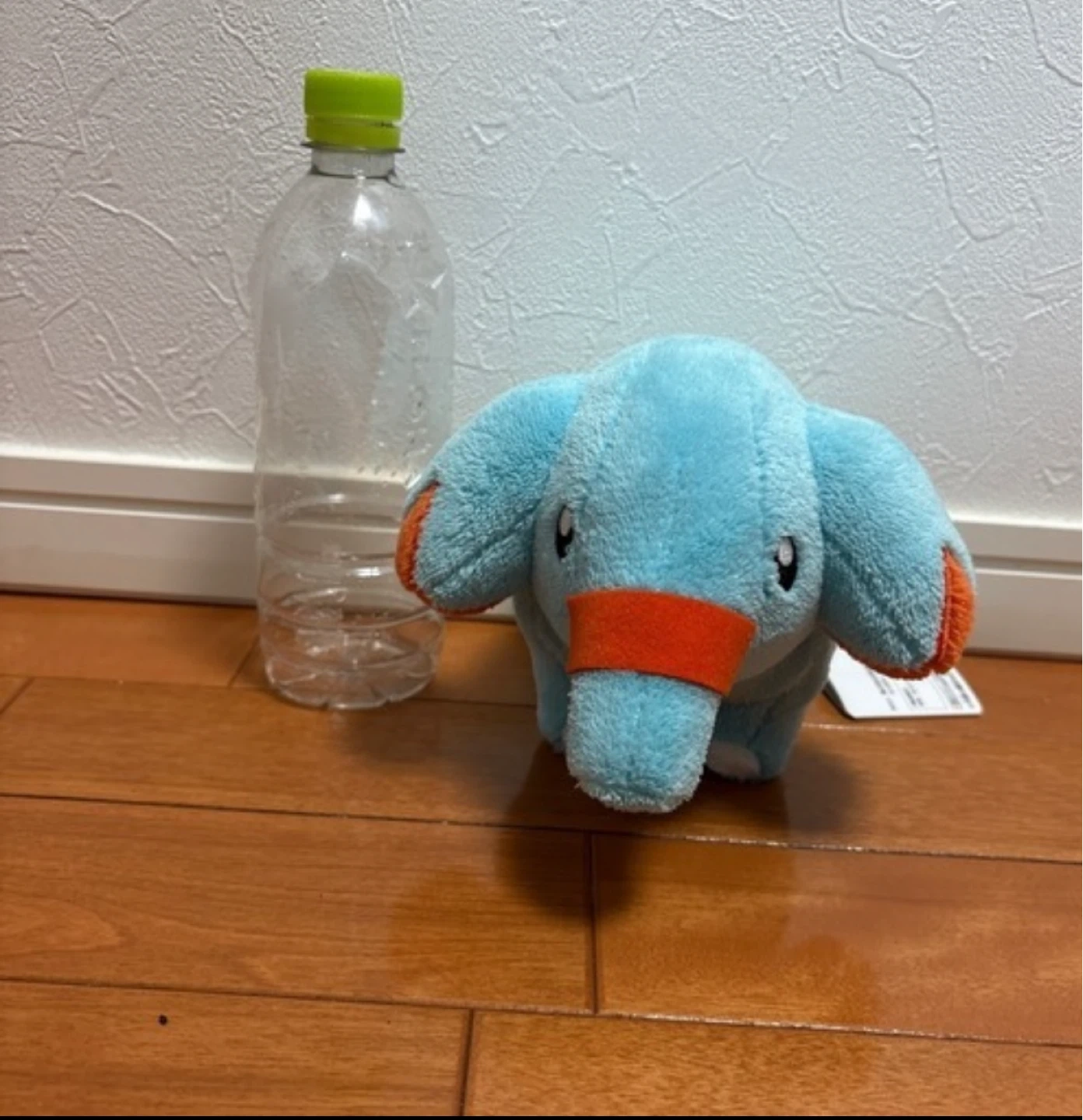 ゴマゾウ ぬいぐるみ ゴマゾウ ぬいぐるみ サイコソーダ リフレッシュ 