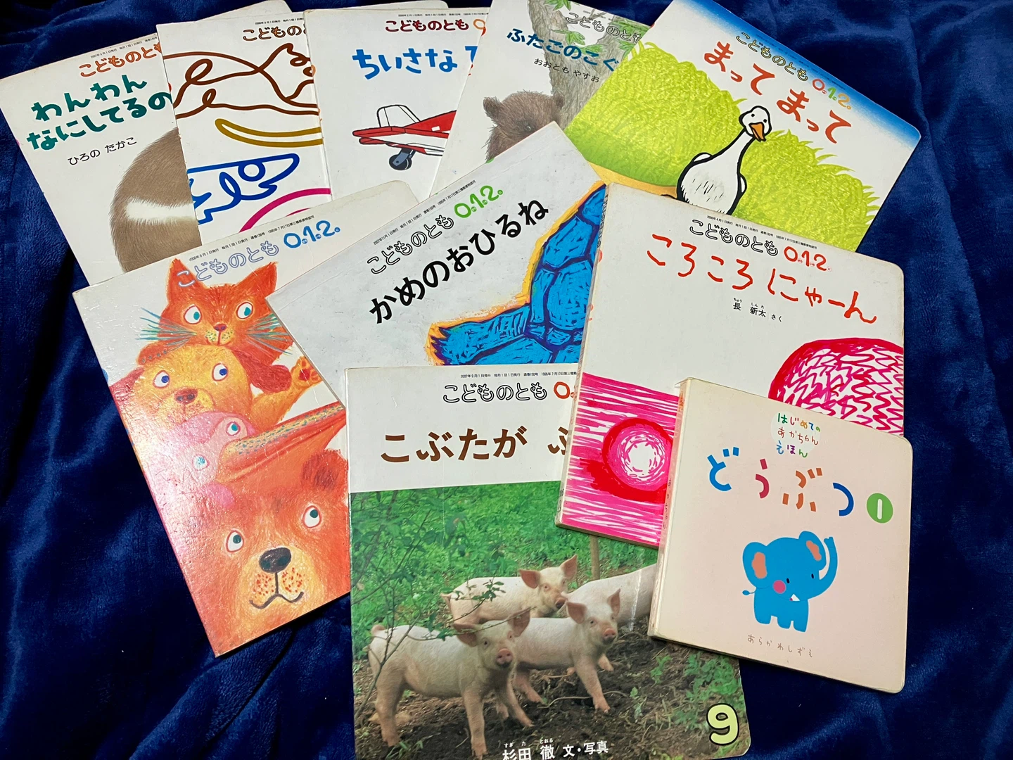 こどものとも 絵本 まとめ売り