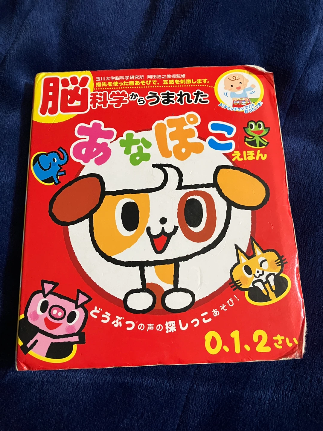 あなぽこえほん 音が出る絵本