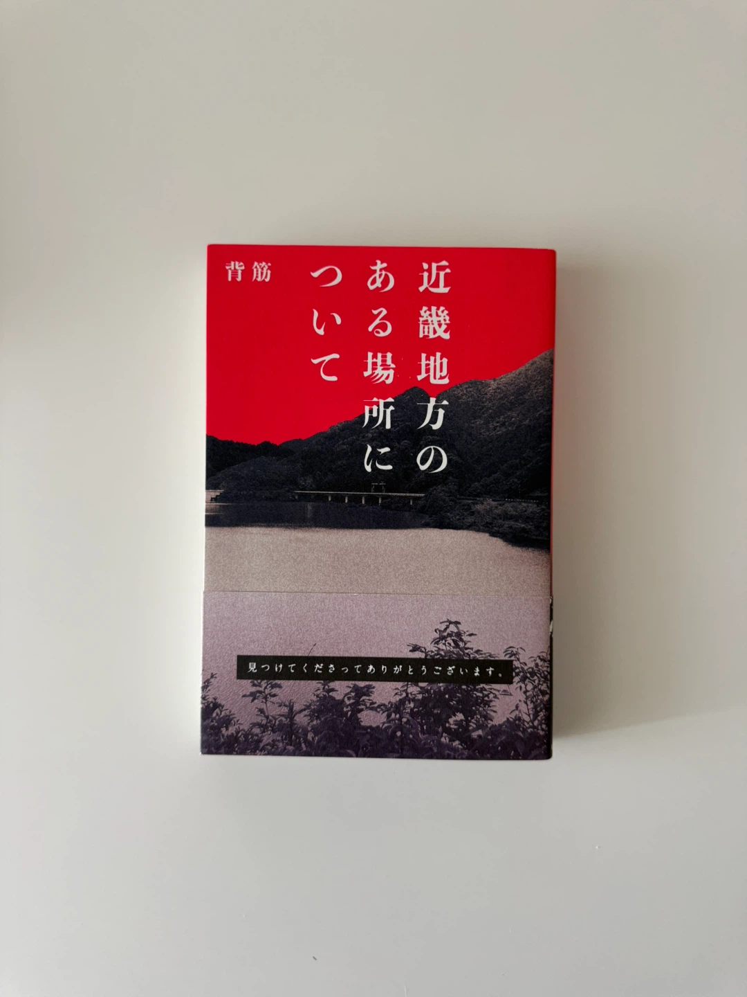 背筋 近畿地方のある場所について