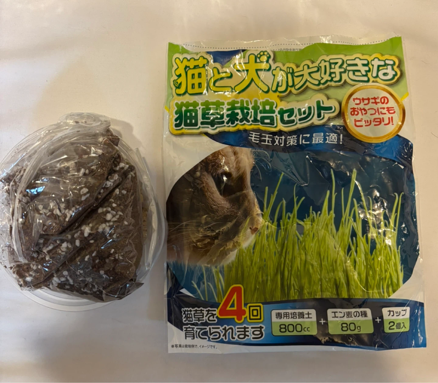 猫草栽培セット　1回分