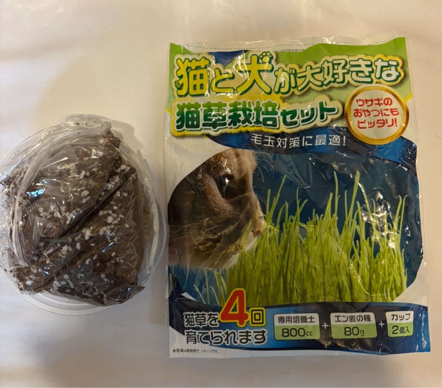 猫草栽培セット 1回分