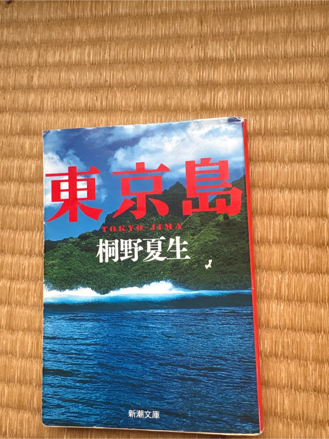 東京島 小説