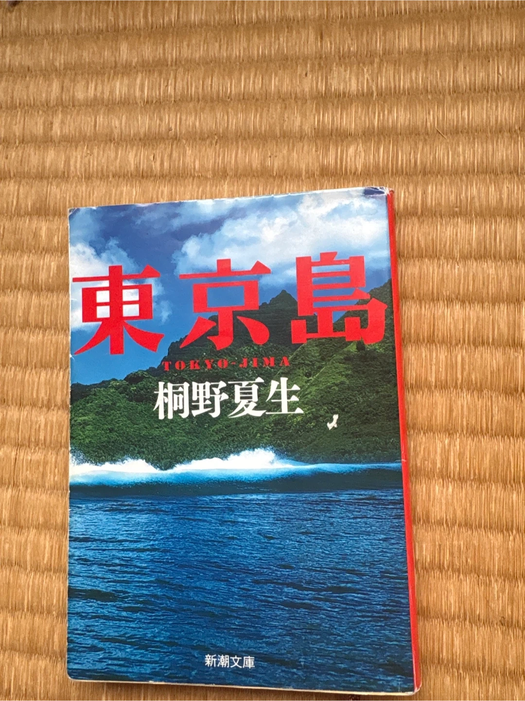 東京島 小説