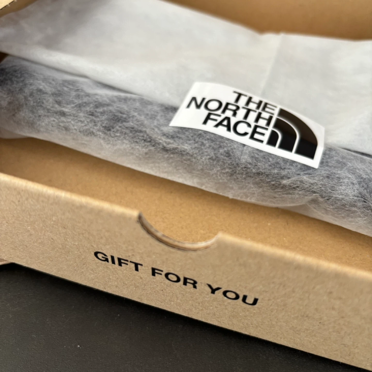 【新品】THE NORTH FACE  ザ・ノース・フェイス マイクロストレッチネックゲイターの写真4枚目