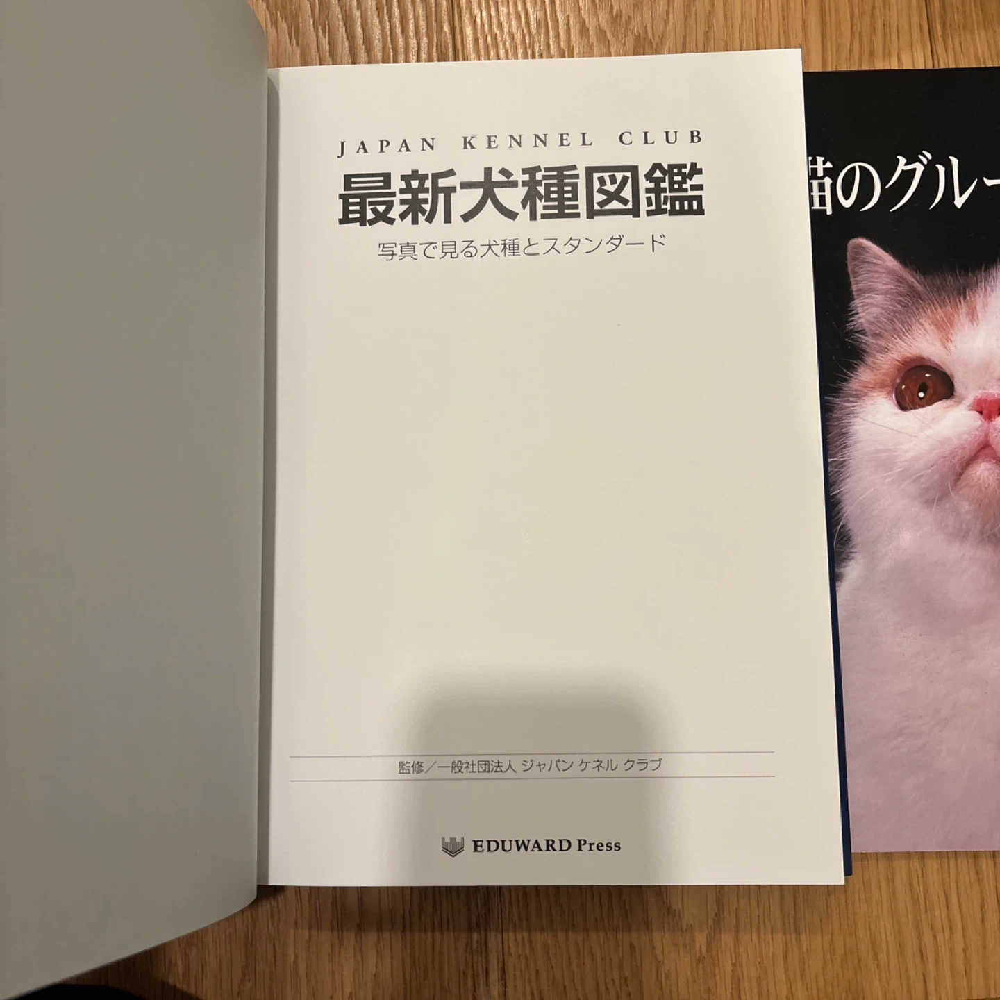 最新犬種図鑑 ペット関連書籍3冊の写真7枚目