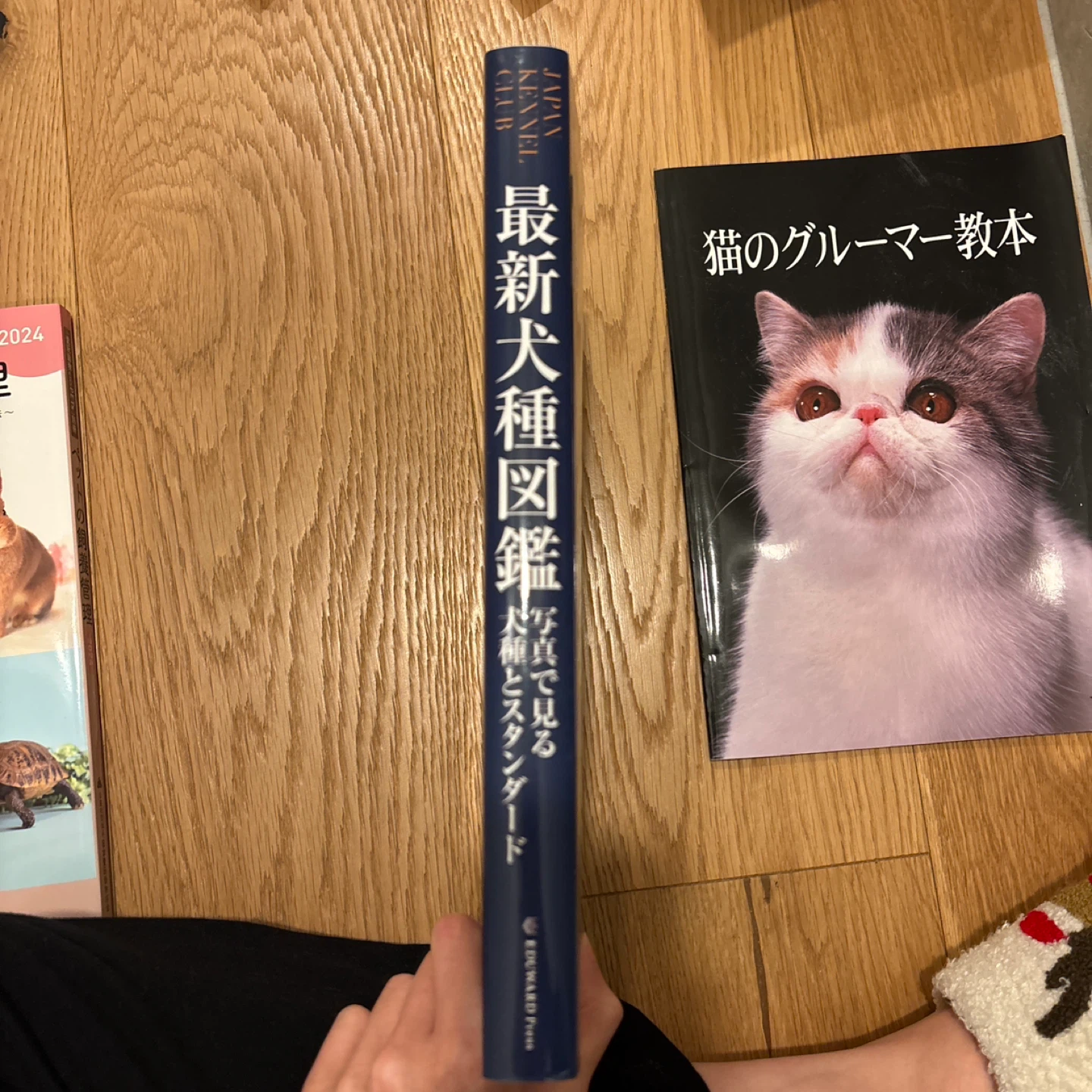 最新犬種図鑑 ペット関連書籍３冊の写真5枚目
