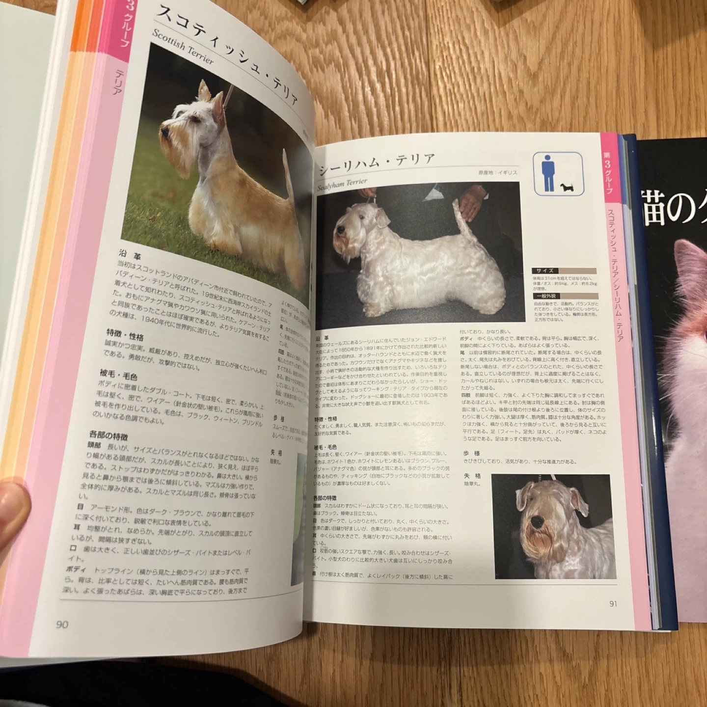 最新犬種図鑑 ペット関連書籍3冊の写真8枚目