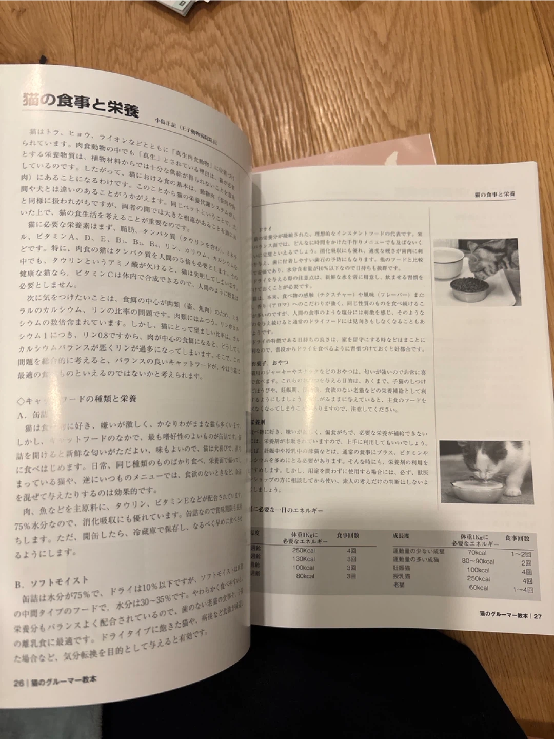 最新犬種図鑑 ペット関連書籍3冊の写真10枚目