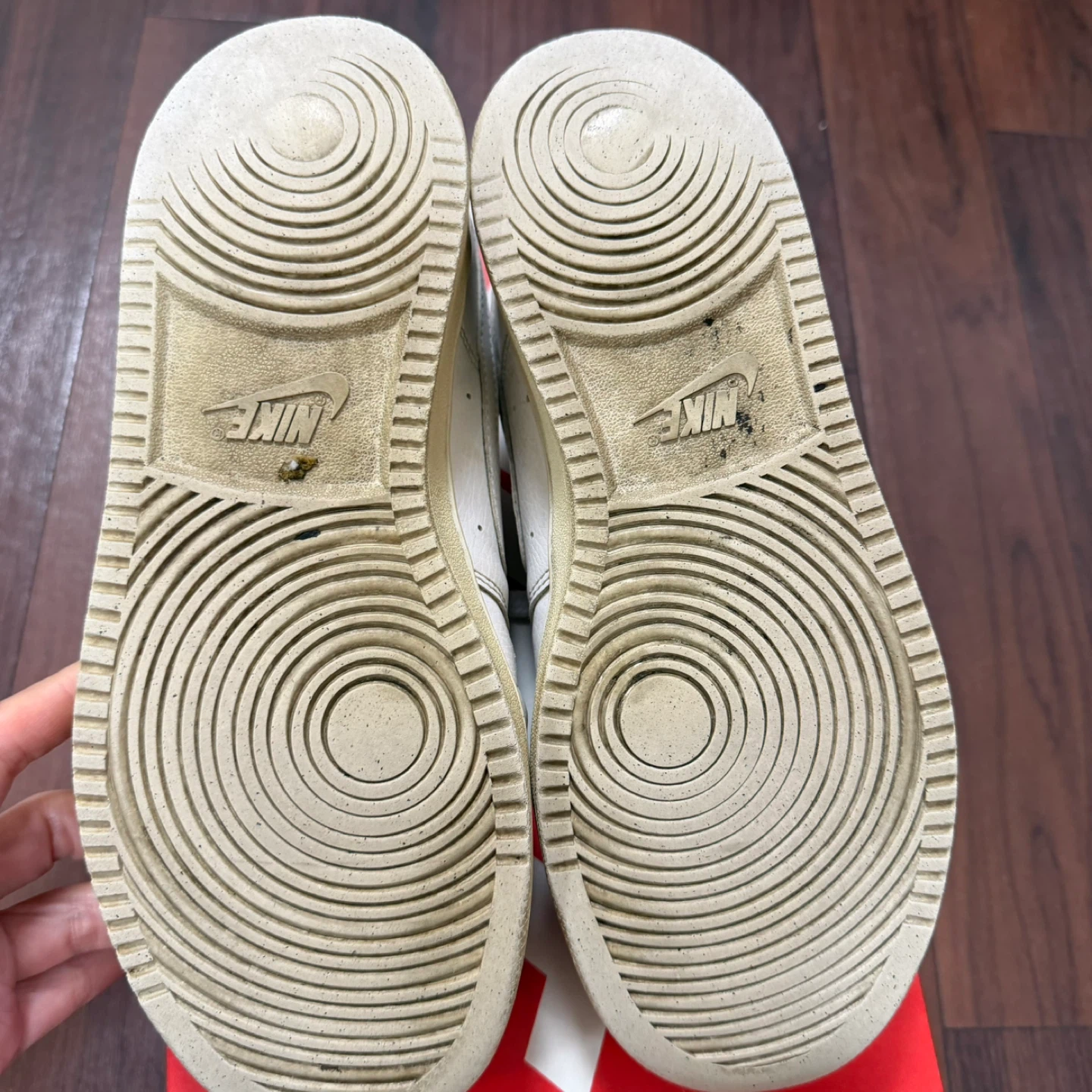NIKE コートビジョン LO SL 25.5cm CD5465-100の写真6枚目