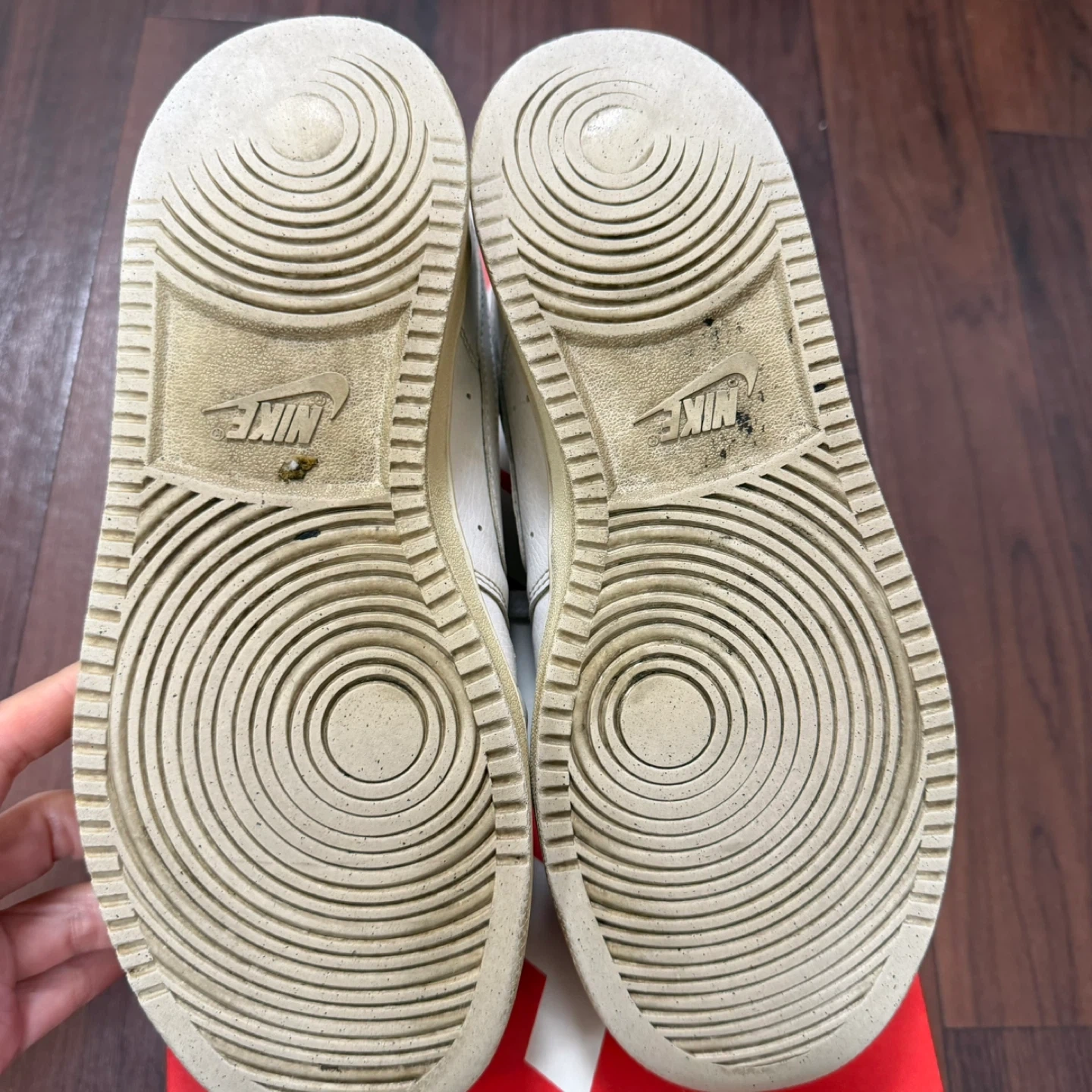 NIKE コートビジョン LO SL 25.5cm CD5465-100の写真6枚目