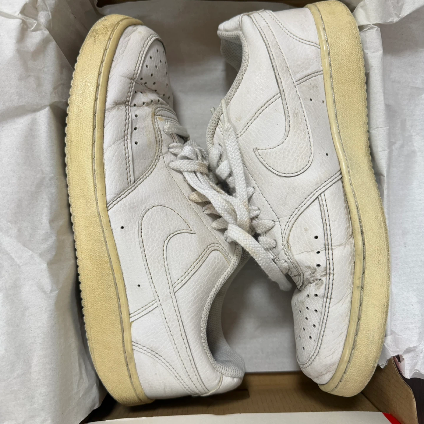 NIKE コートビジョン LO SL 25.5cm CD5465-100の写真9枚目