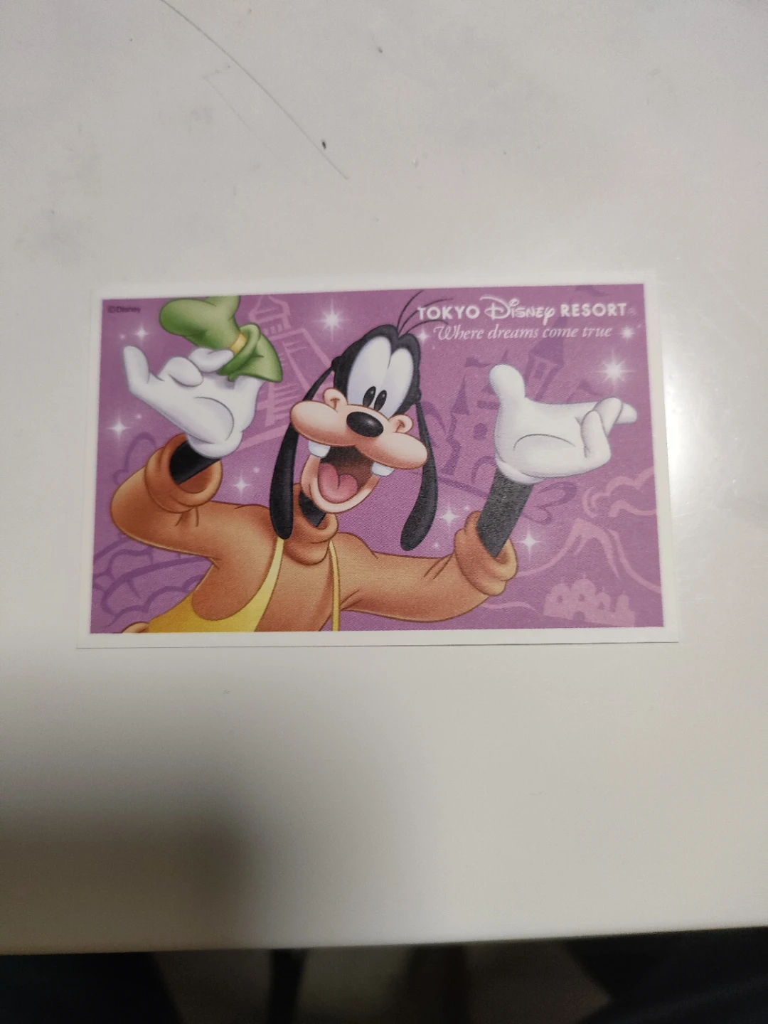 ディズニーランドorシーのチケット1枚