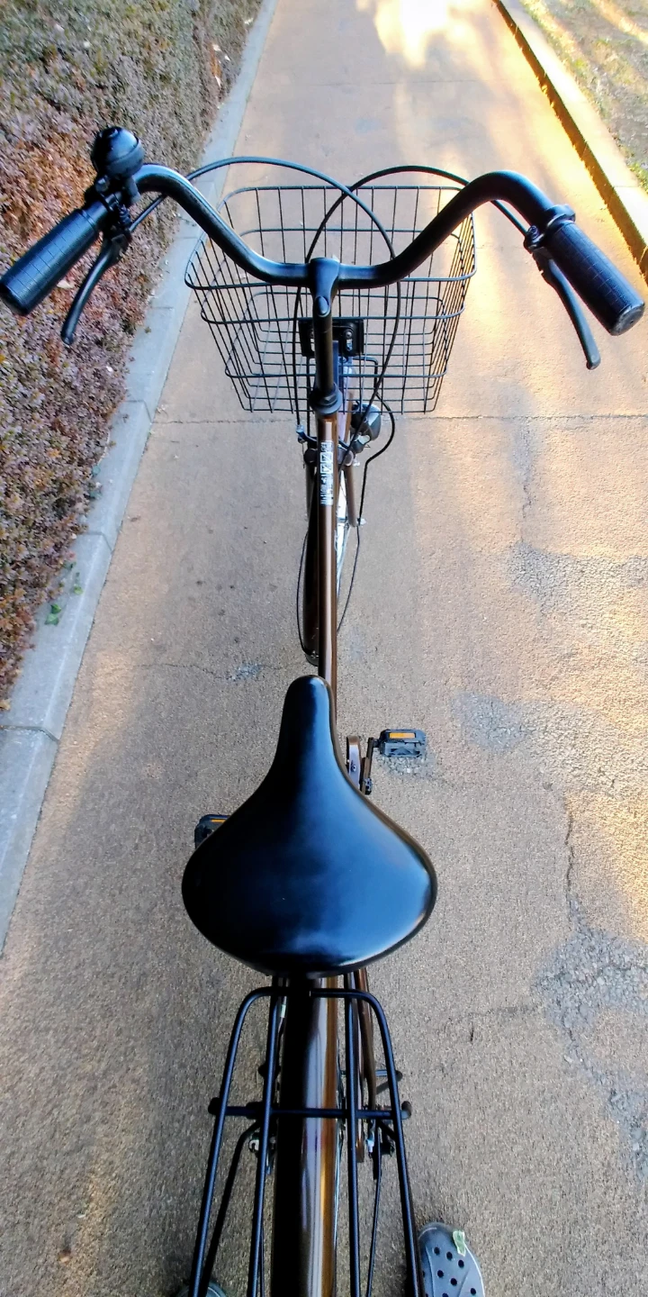 自転車 ブラウン26インチの写真3枚目