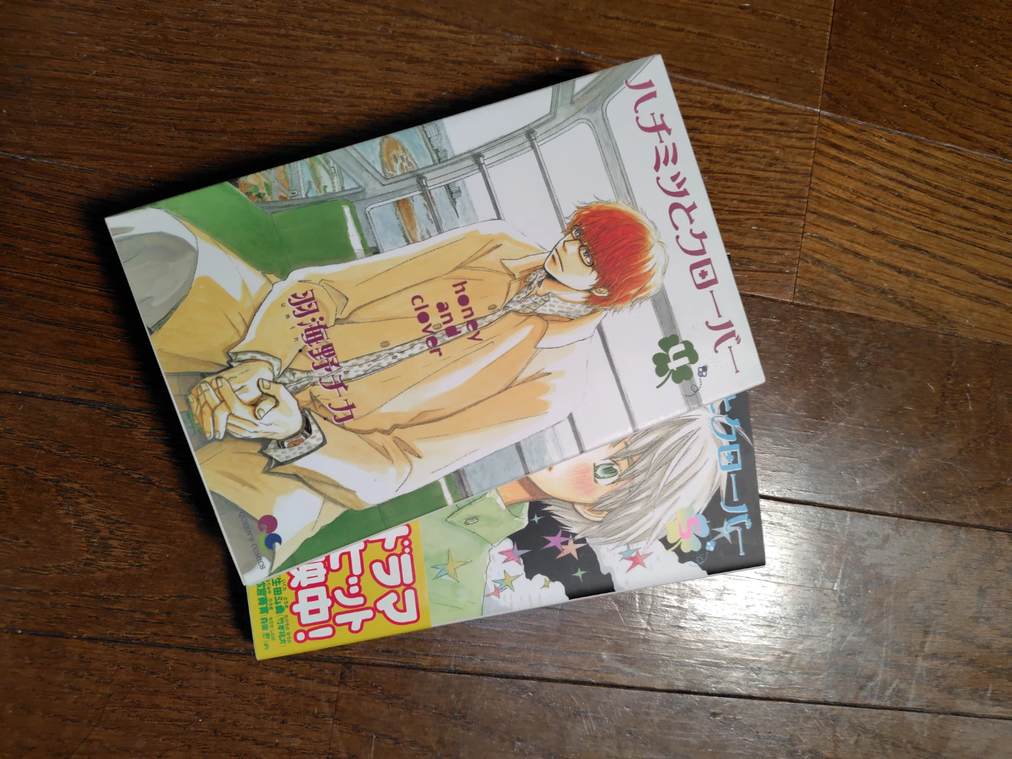 断捨離　ハチミツとクローバー 漫画