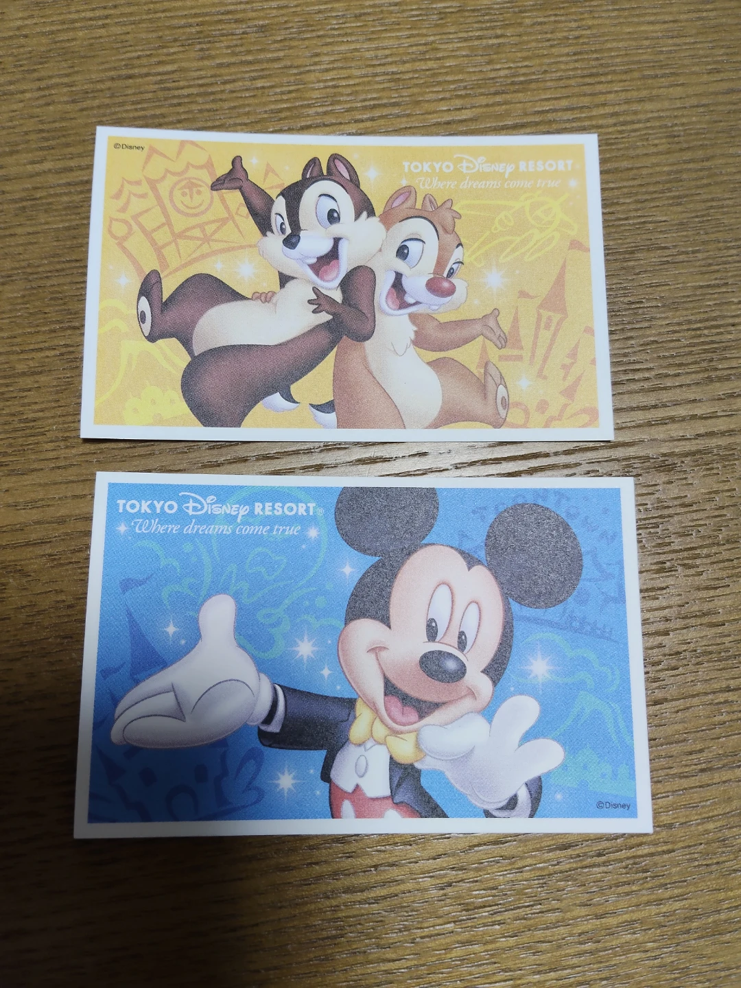 東京ディズニーランド 三井不動産 レジデンシャルサンクスフェスタ2025 ディズニー貸切イベント チケット 2名様分
