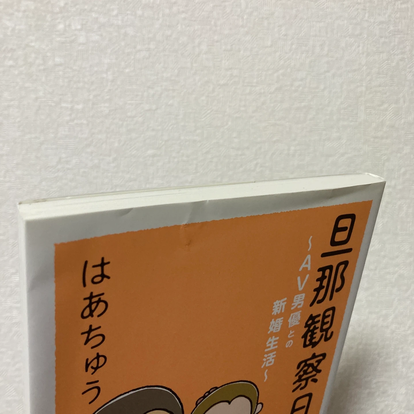 「旦那観察日記〜AV男優との新婚生活〜」の写真3枚目