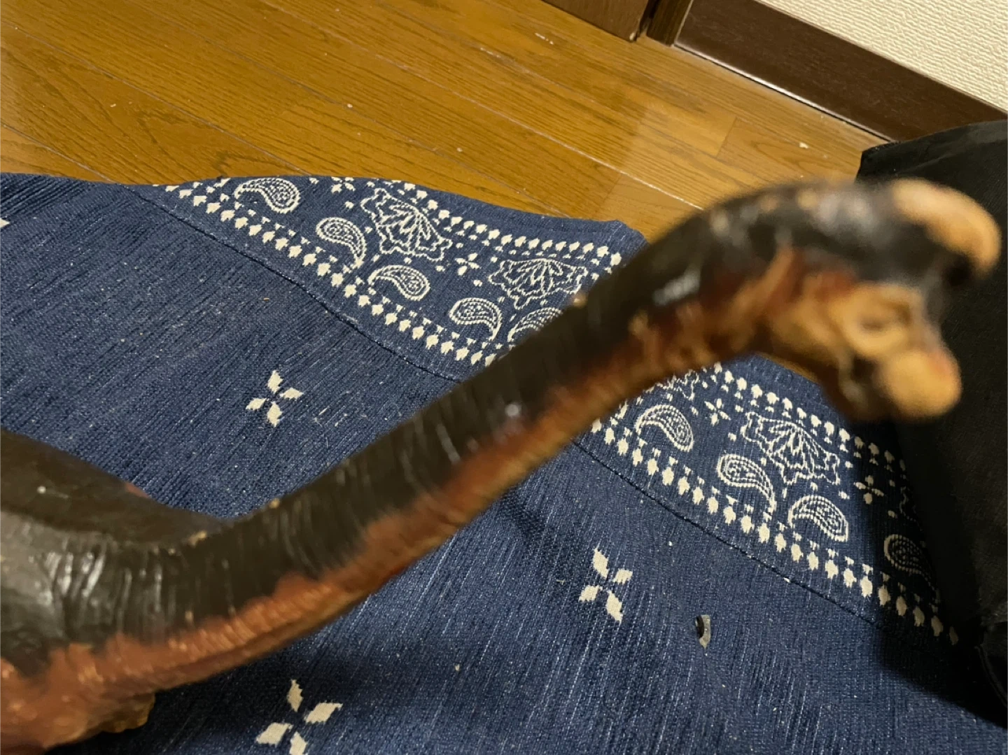 恐竜フィギュア2点セットの写真2枚目