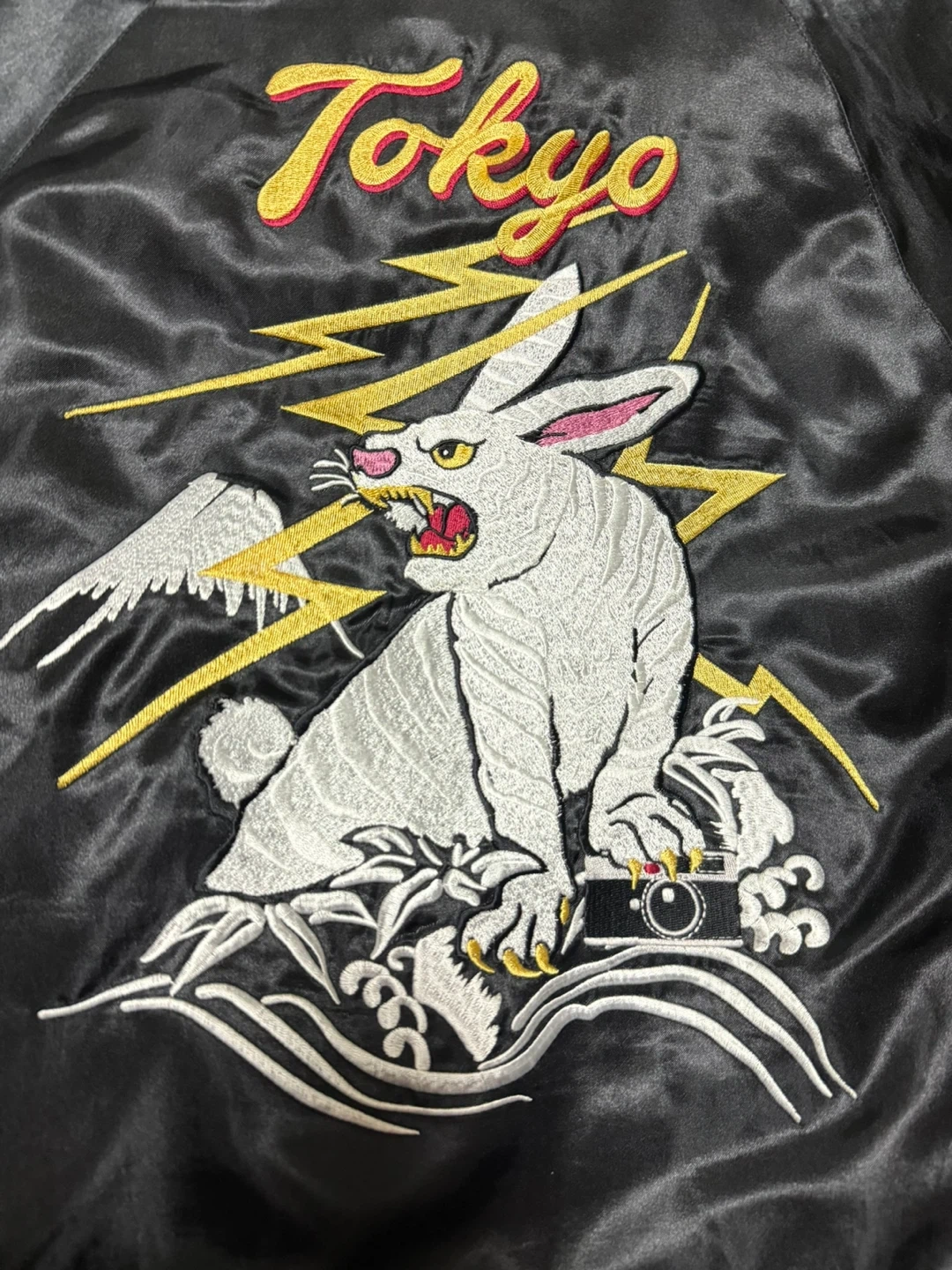 FR2 Tokyo Souvenir Jacketの写真3枚目