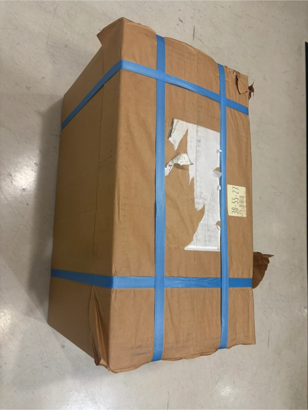 PDロールラベル 600枚 1150×80㎜ 剥離 ロールの写真3枚目