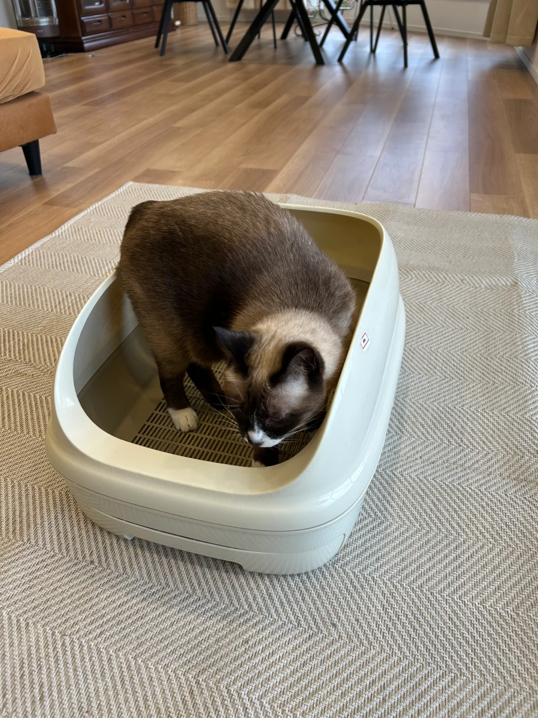 ペット用トイレの写真5枚目