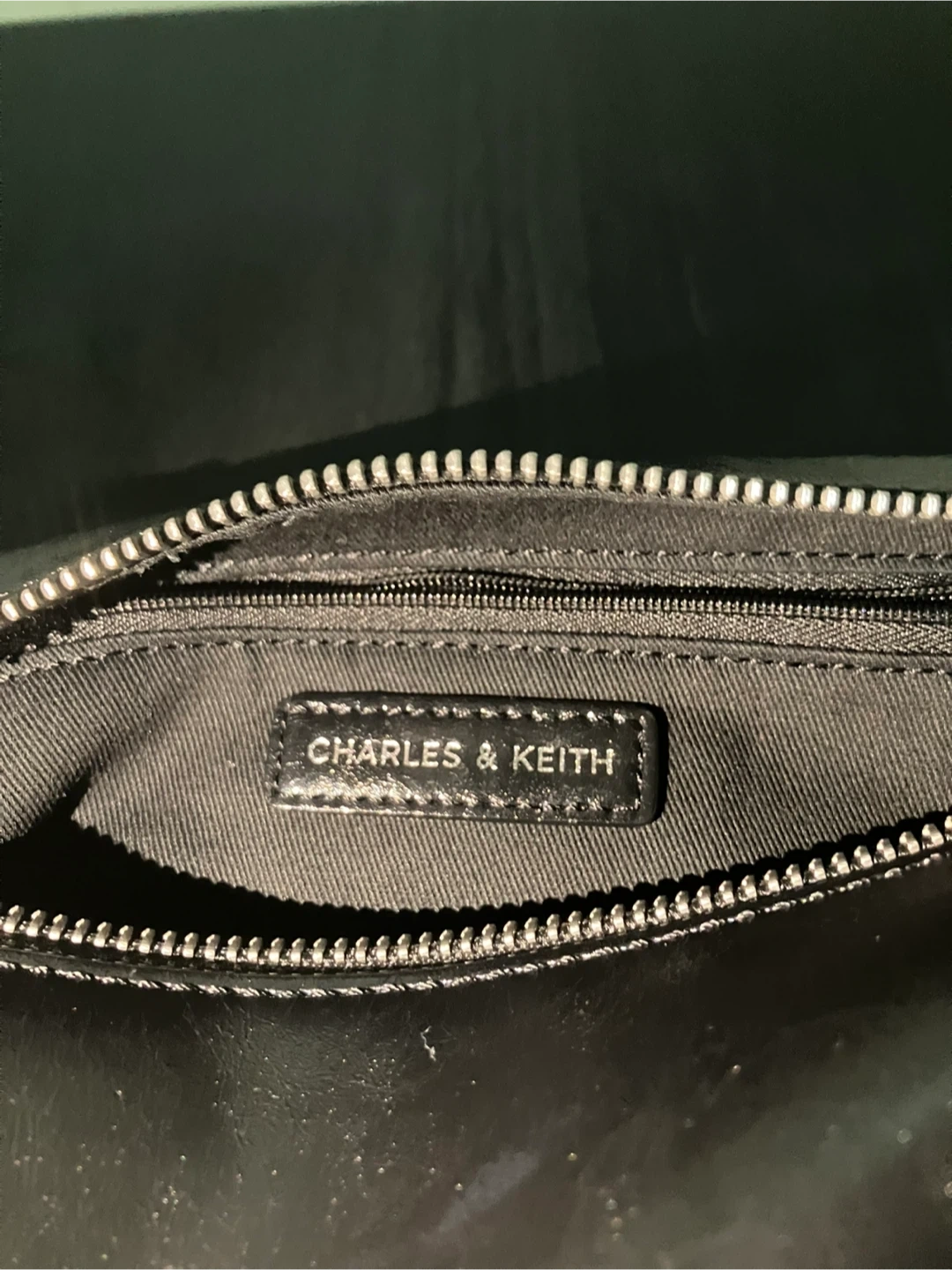 CHARLES & KEITH チャールズアンドキース ザイリア ホーボーバッグの写真5枚目