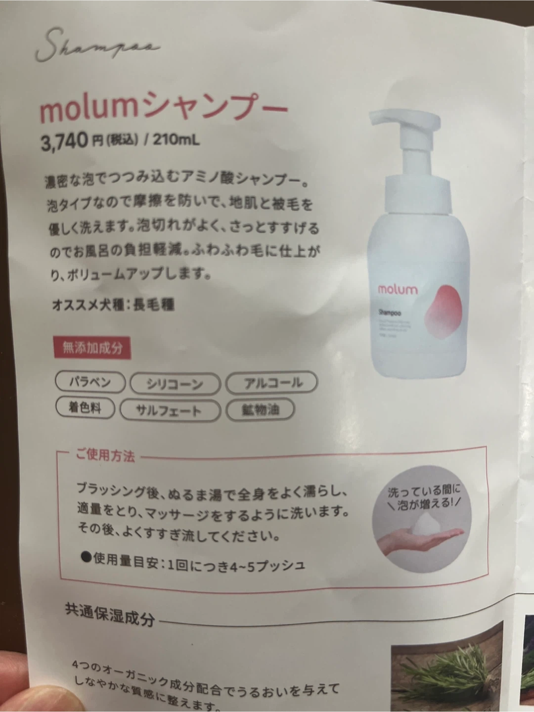 【犬用品】モルム、シャンプー&トリートメント トライアルセットの写真3枚目