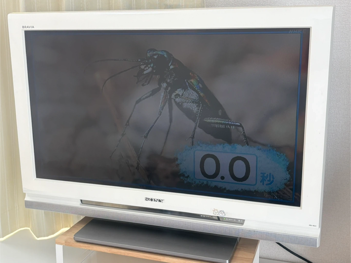 ソニー 液晶テレビ KDL-32J1 32型