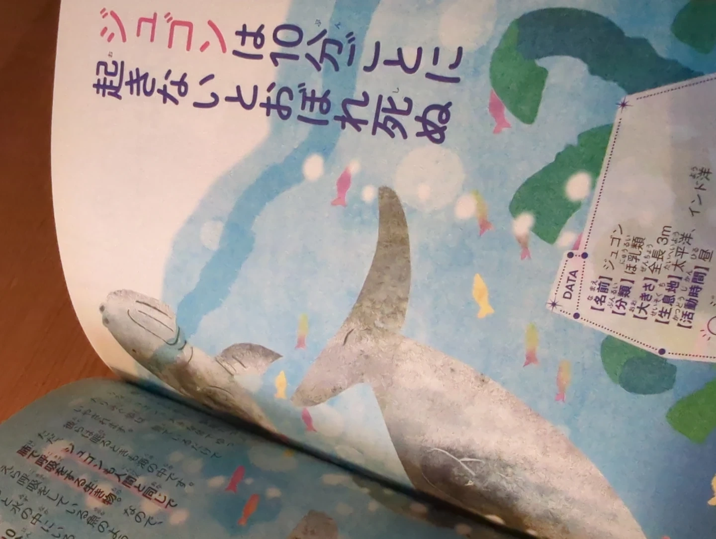 夜のいきもの図鑑の写真5枚目