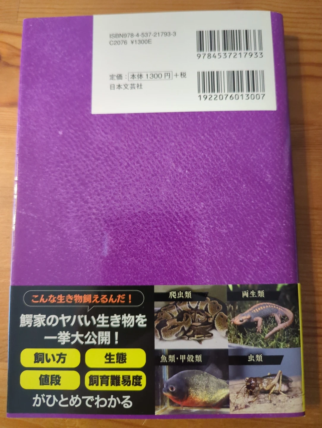 チャンネル鰐 爬虫類・両生類図鑑の写真2枚目