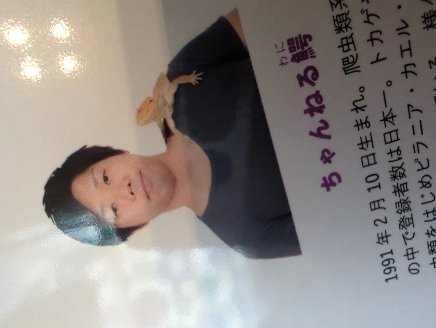 チャンネル鰐 爬虫類・両生類図鑑の写真3枚目