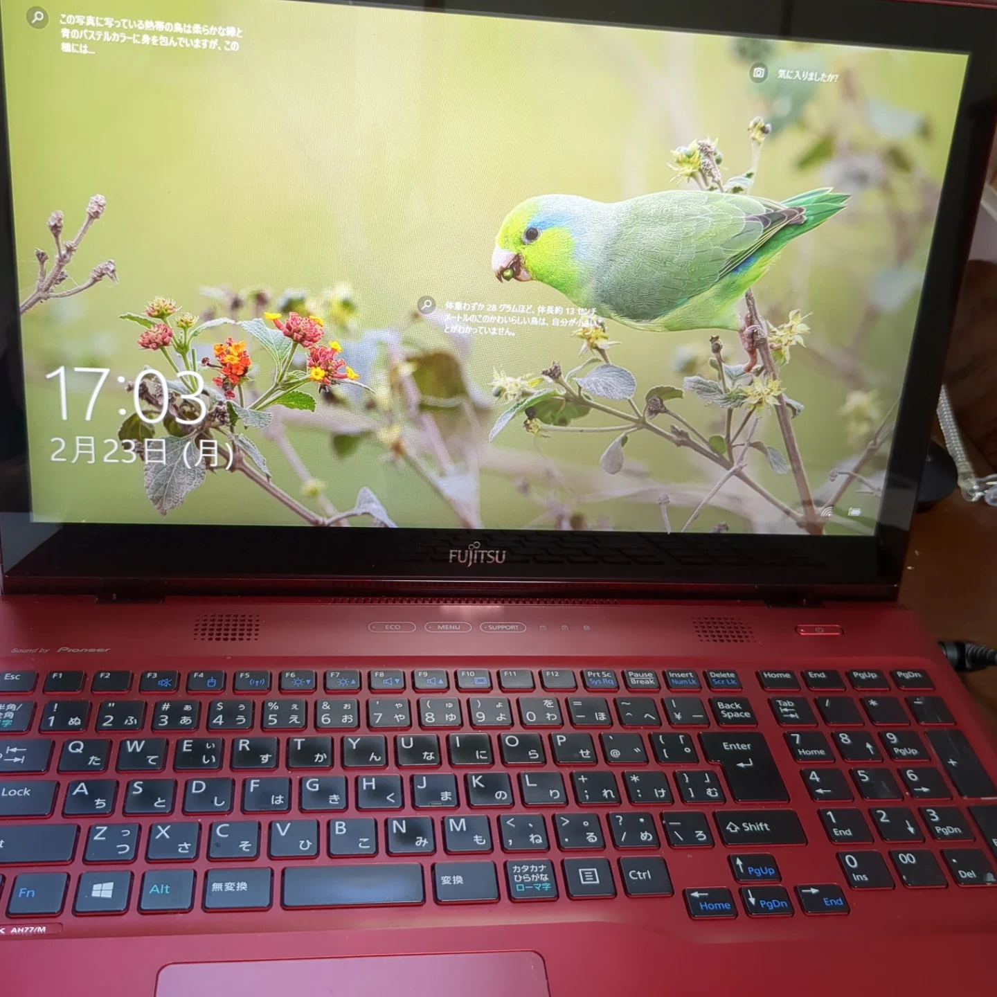 富士通 LIFEBOOK AH/M ノートパソコン