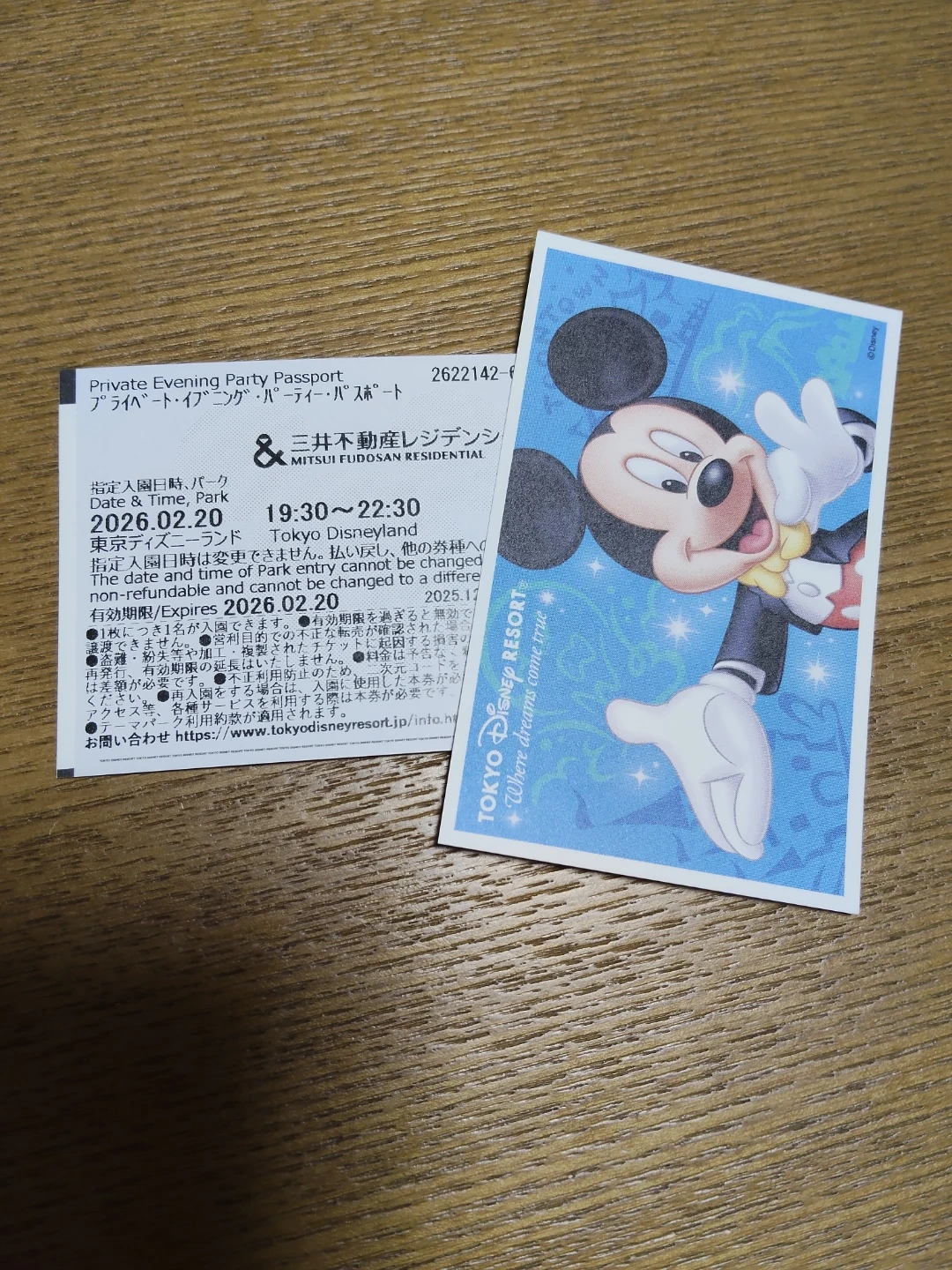 東京ディズニーランド 三井不動産 レジデンシャルサンクスフェスタ2025 ディズニー貸切イベント チケット 2名様分の写真2枚目