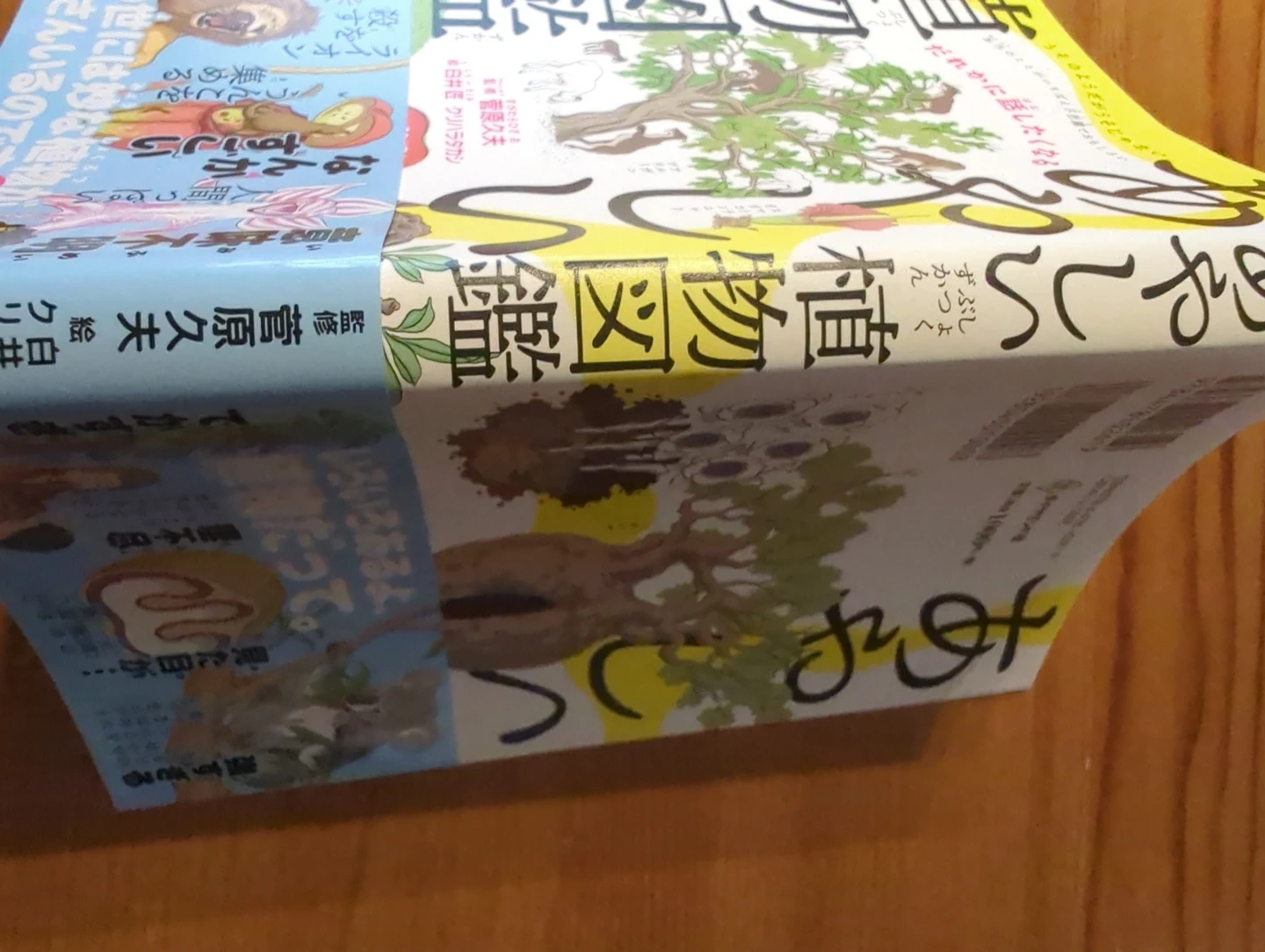 あやしい植物図鑑の写真3枚目