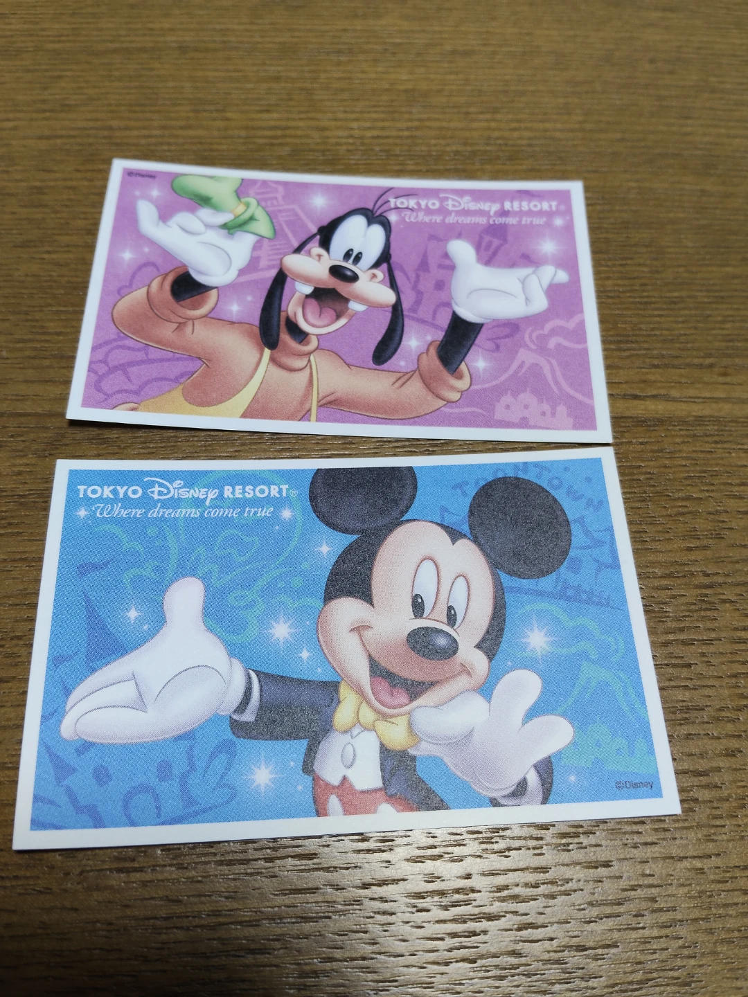 東京ディズニーランド 三井不動産 レジデンシャルサンクスフェスタ2025 ディズニー貸切イベント チケット 2名様分