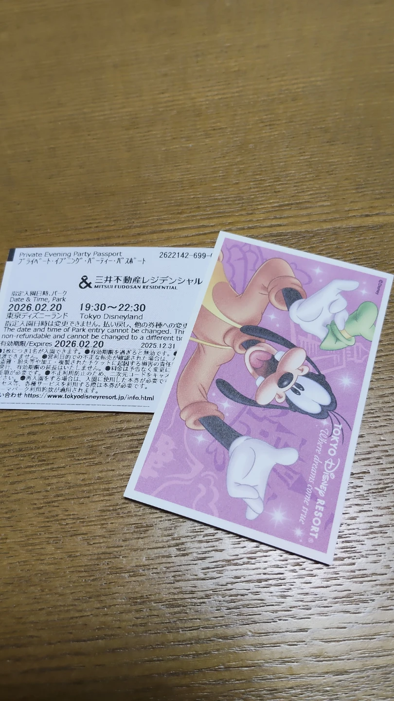 東京ディズニーランド 三井不動産 レジデンシャルサンクスフェスタ2025 ディズニー貸切イベント チケット 2名様分の写真2枚目