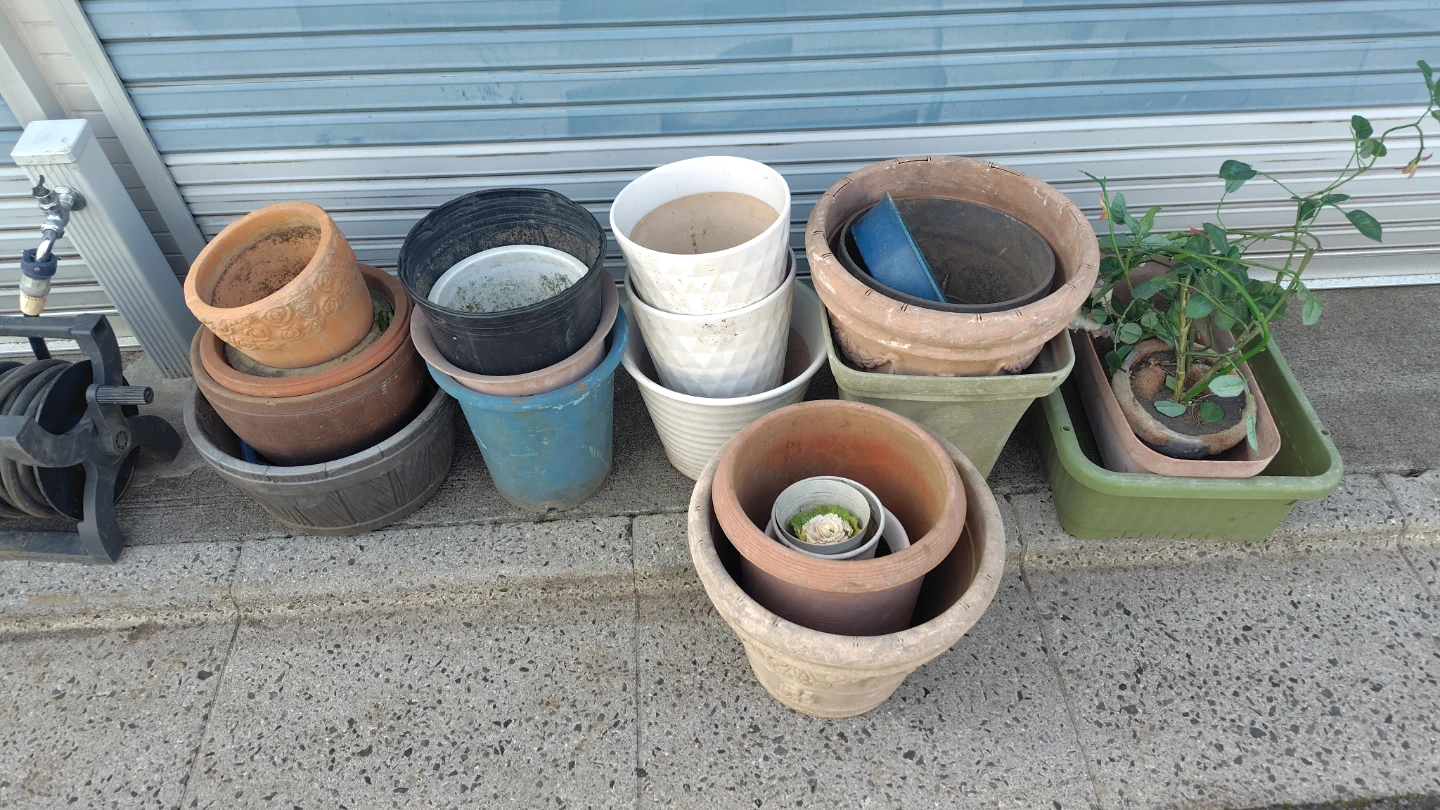 植木鉢 まとめでお譲りします　プランター