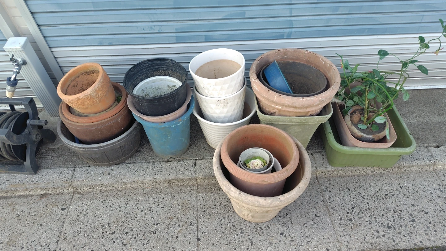 植木鉢 まとめでお譲りします プランター