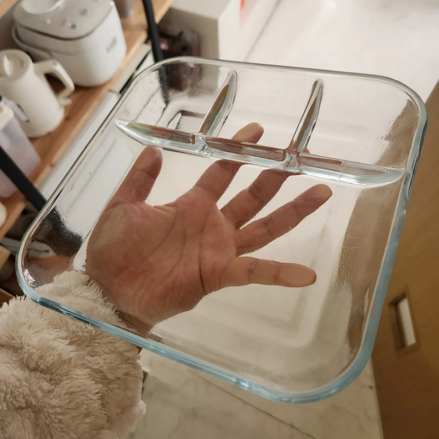 ガラス製 仕切り付きプレート
