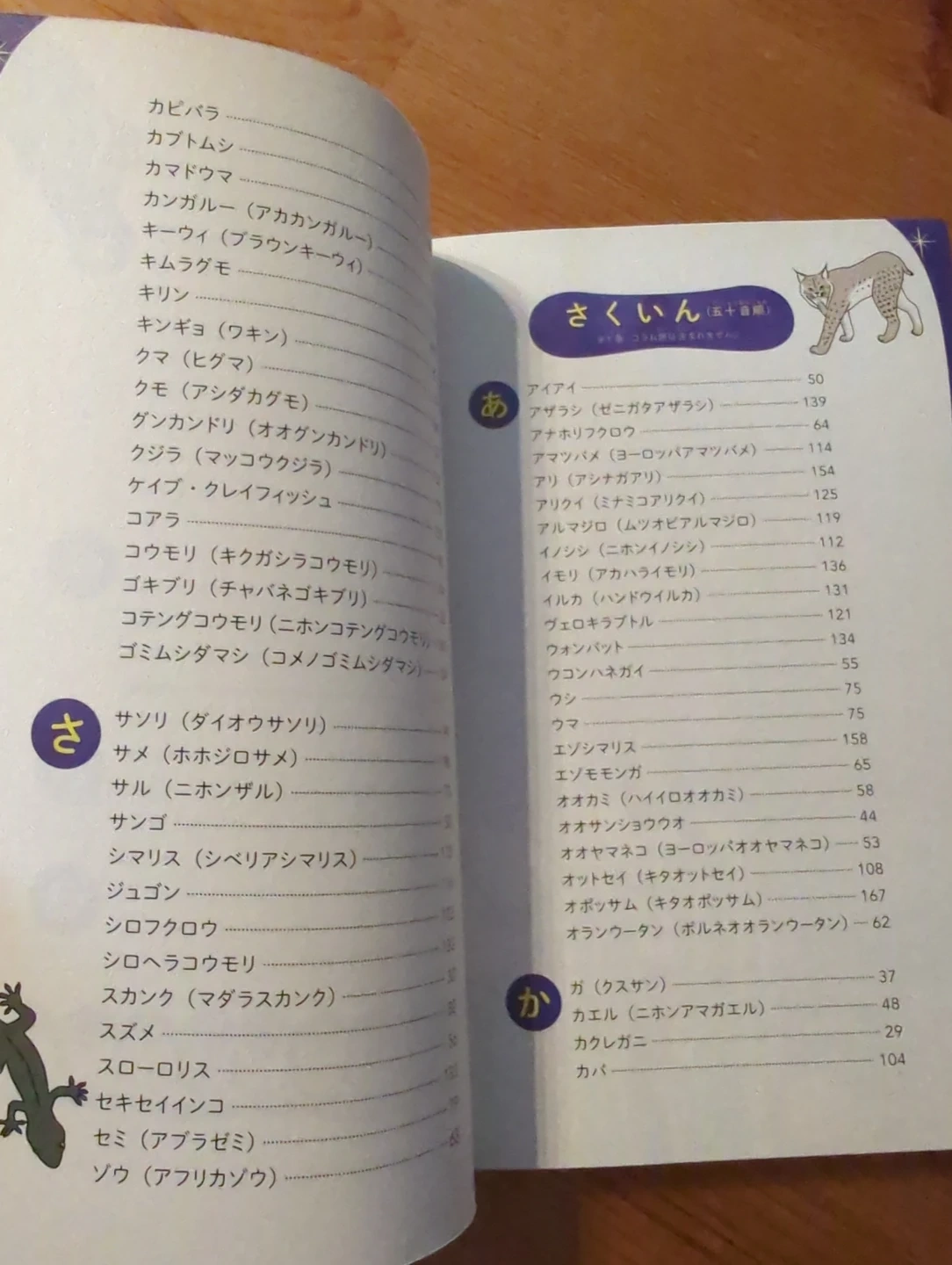夜のいきもの図鑑の写真3枚目