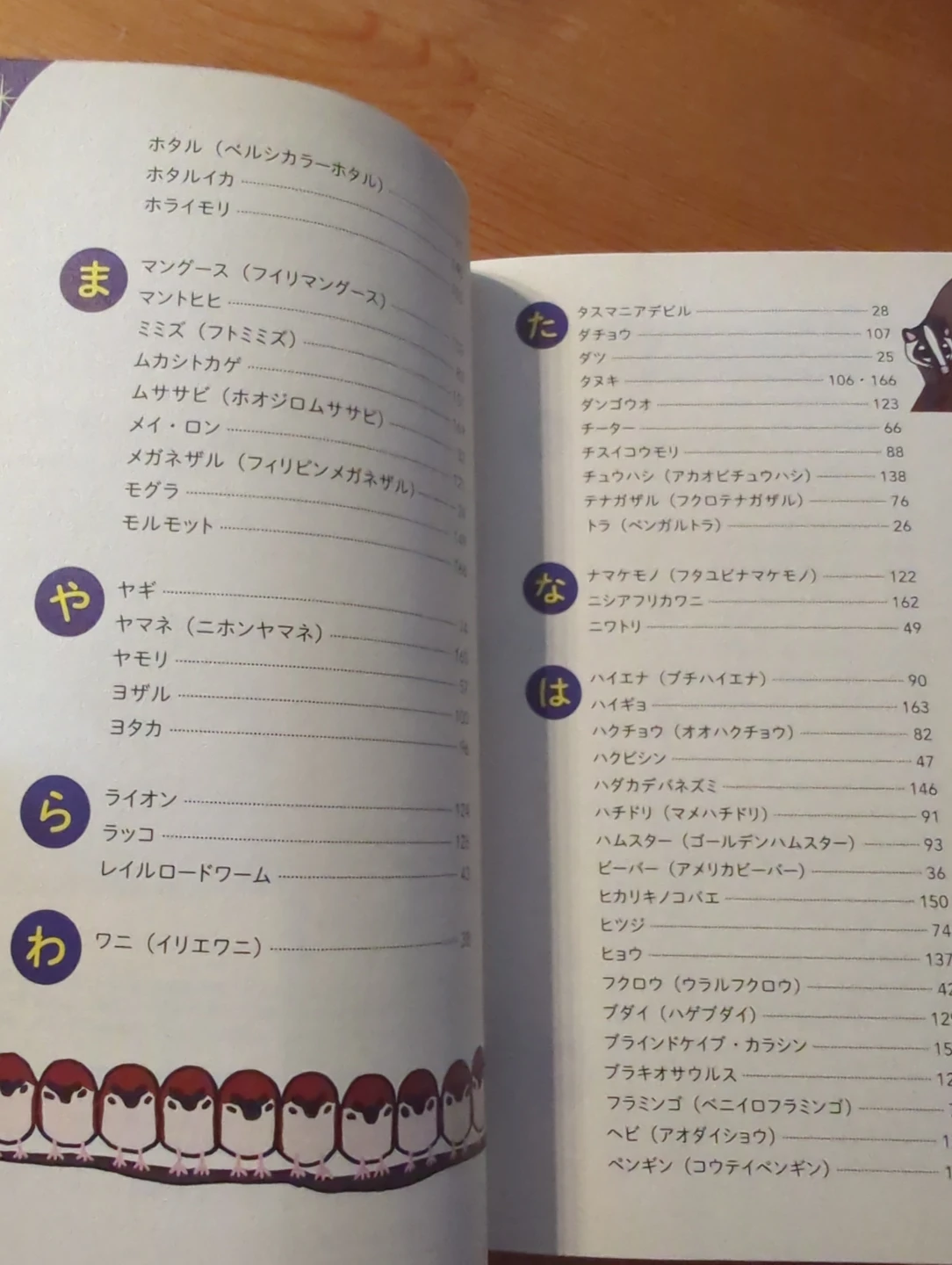 夜のいきもの図鑑の写真4枚目