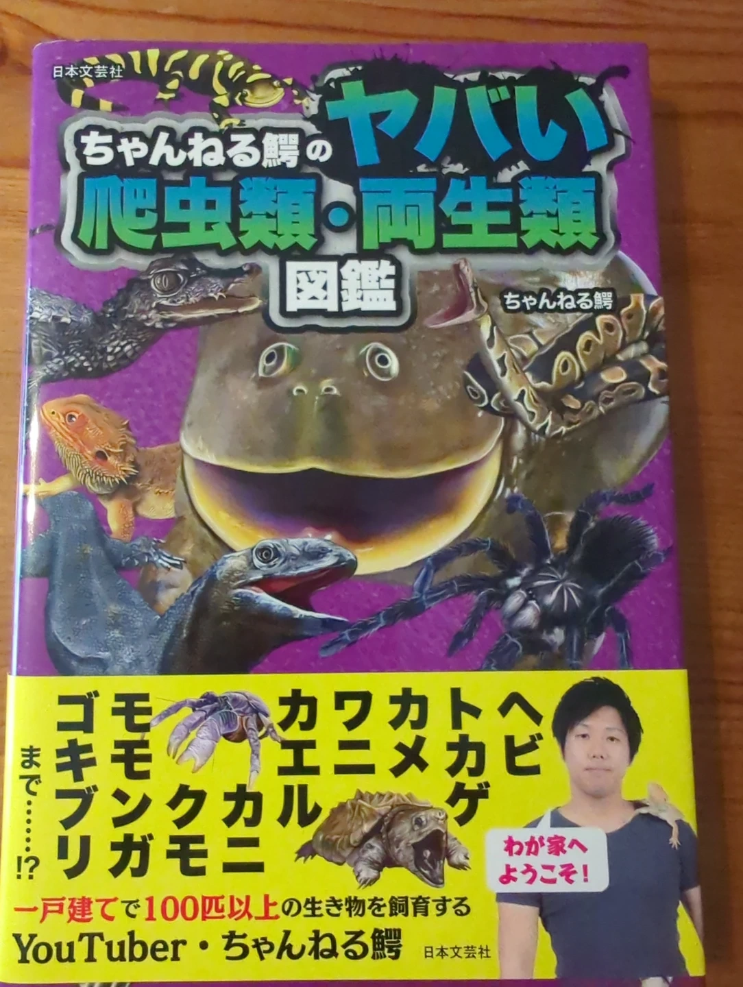 チャンネル鰐 爬虫類・両生類図鑑