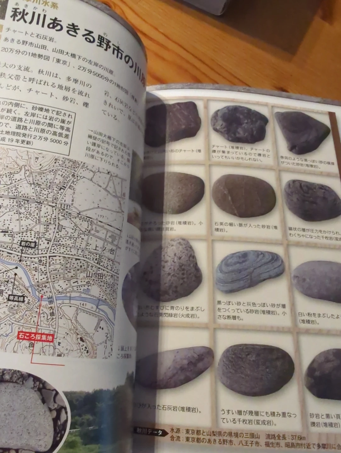 日本の石ころ 標本箱の写真4枚目