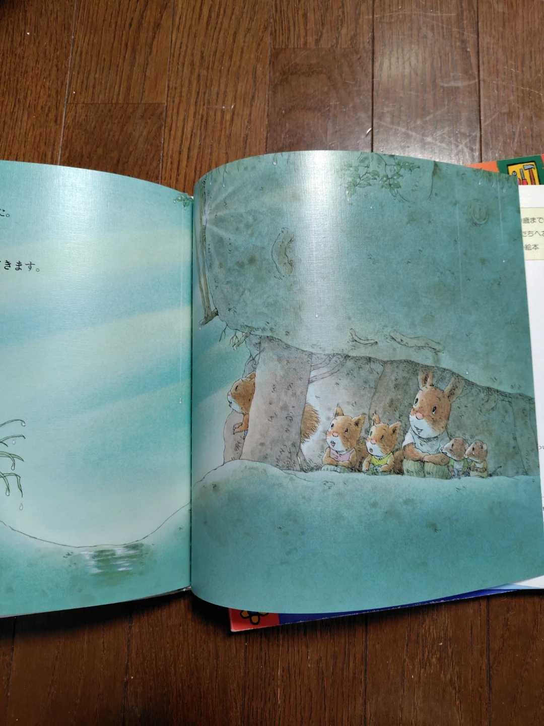 「ゆうだちのともだち」いわむらかずお 絵本の写真2枚目