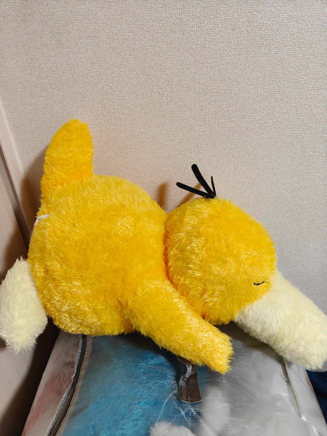 ポケモン ぬいぐるみの写真2枚目